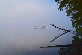 湖,霧,樹