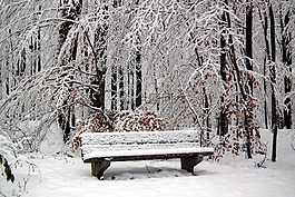 hertogenwald,雪,工作臺