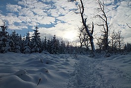 hertogenwald,雪,太陽