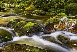 水,河,性質(zhì)