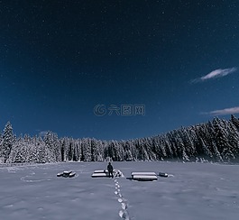 雪,冬天,白
