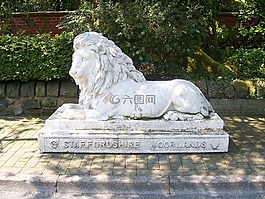 獅子,石,雕像