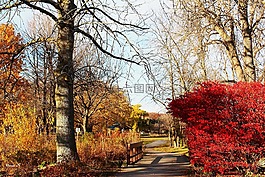 秋天的公園,胡同,視圖