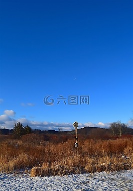 冬天,原野,雪