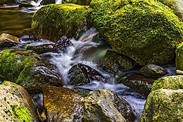 水,河,性質(zhì)