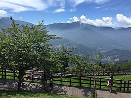 清境農場,旅遊,藍天