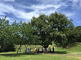清境農場,旅遊,藍天