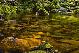水,河,性質(zhì)