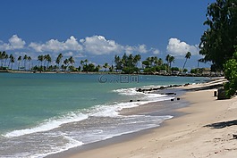 海灘,沙,沖浪