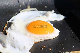 油煎,南斯拉夫聯(lián)盟共和國,泛