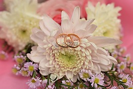 環(huán),婚禮,結(jié)婚