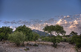 caimari,马洛卡,性质