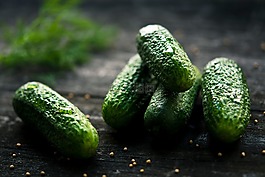 黃瓜,植物,綠色