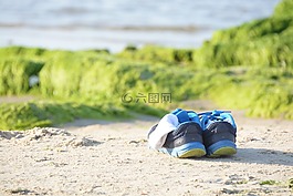 舒適,海,海灘
