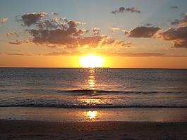 日落,海灘,夏天