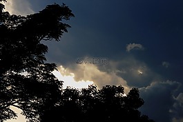 黑暗,白燈,樹