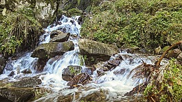 瀑布,過獨(dú)身生活,瓷磚