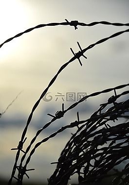 電線,關(guān)于,農(nóng)場