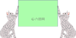 跡象,消息,顯示