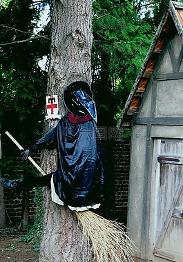 女巫,hexenbesen,女巫的房子