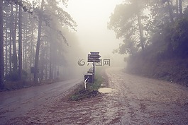 意大利,托斯卡納,路
