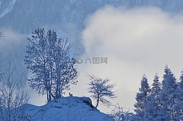 冬天,雪,haderlehn
