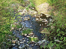 過獨身生活,水,河床