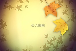 秋季,葉子,秋天的顏色
