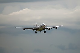 飛機(jī),蘇里南的航空公司,航空公司