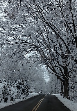 路,旅程,雪