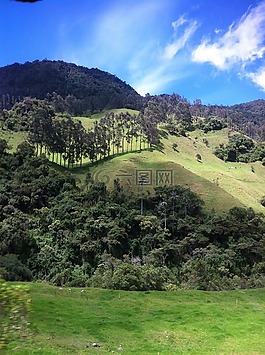 景觀,cocora谷,旅行