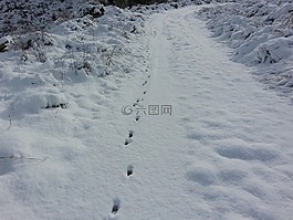 雪,路徑,徑