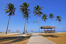 自然,景觀,海景