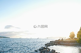 海,海洋,水