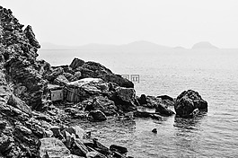海岸,野生,巖
