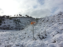 雪,山,冬天