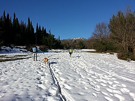 雪,徒步旅行,山