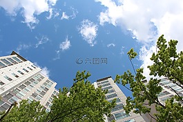 公寓,天空,木材