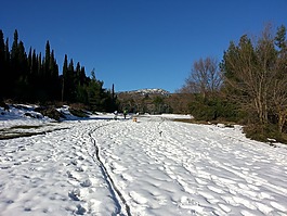 雪徑,白,冬天
