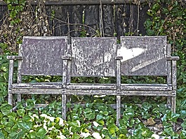 電影院的椅子,被遺棄,常春藤