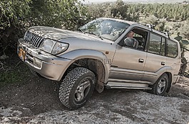吉普車,車,車輛