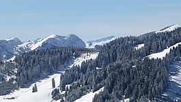 阿爾高,冬天,雪