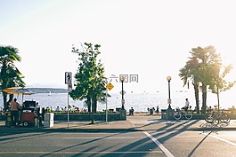 海,海洋,水