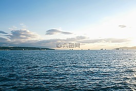 海,海洋,水
