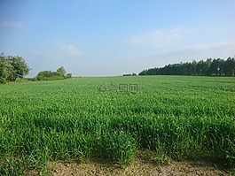 草甸,字段,農(nóng)場