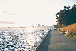 海,海洋,水