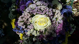 鮮花,顏色,白