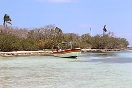 海灘,船,水