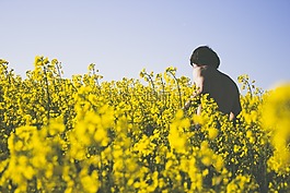 春,鮮花,黃色