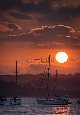 游艇,船,海